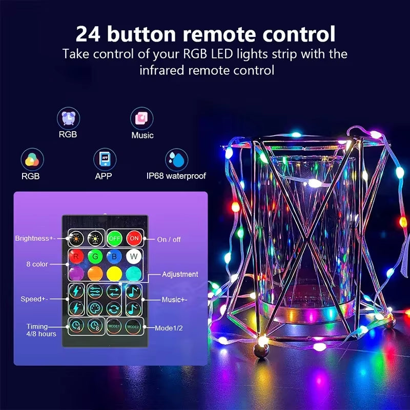 Bluetooth RGB Christmas Fairy Lights