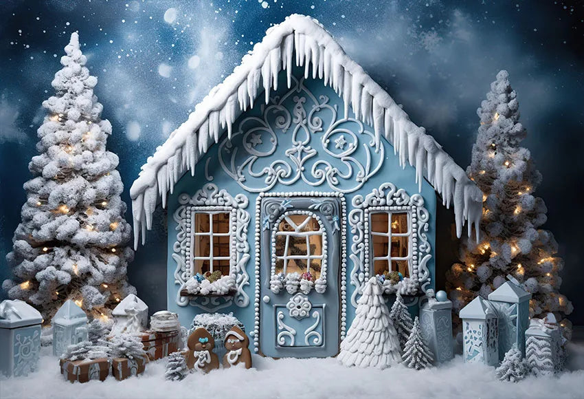 Winter Gingerbread House Photo Backdrop