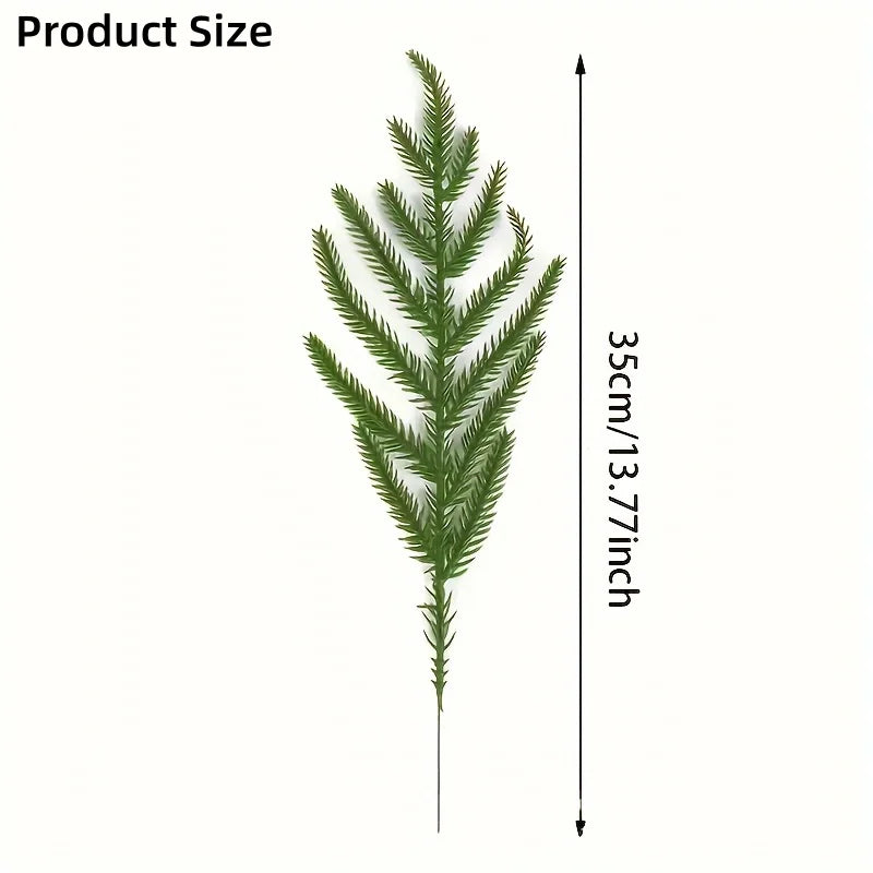 Norfolk Pine Craft Stems