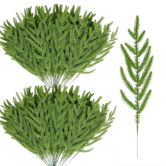 Norfolk Pine Craft Stems