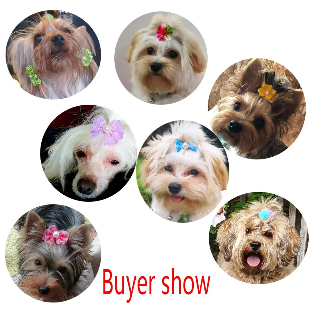 Christmas Pet Hair Bows — Mixed Set of 20