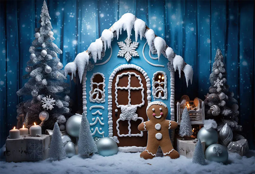 Winter Gingerbread House Photo Backdrop