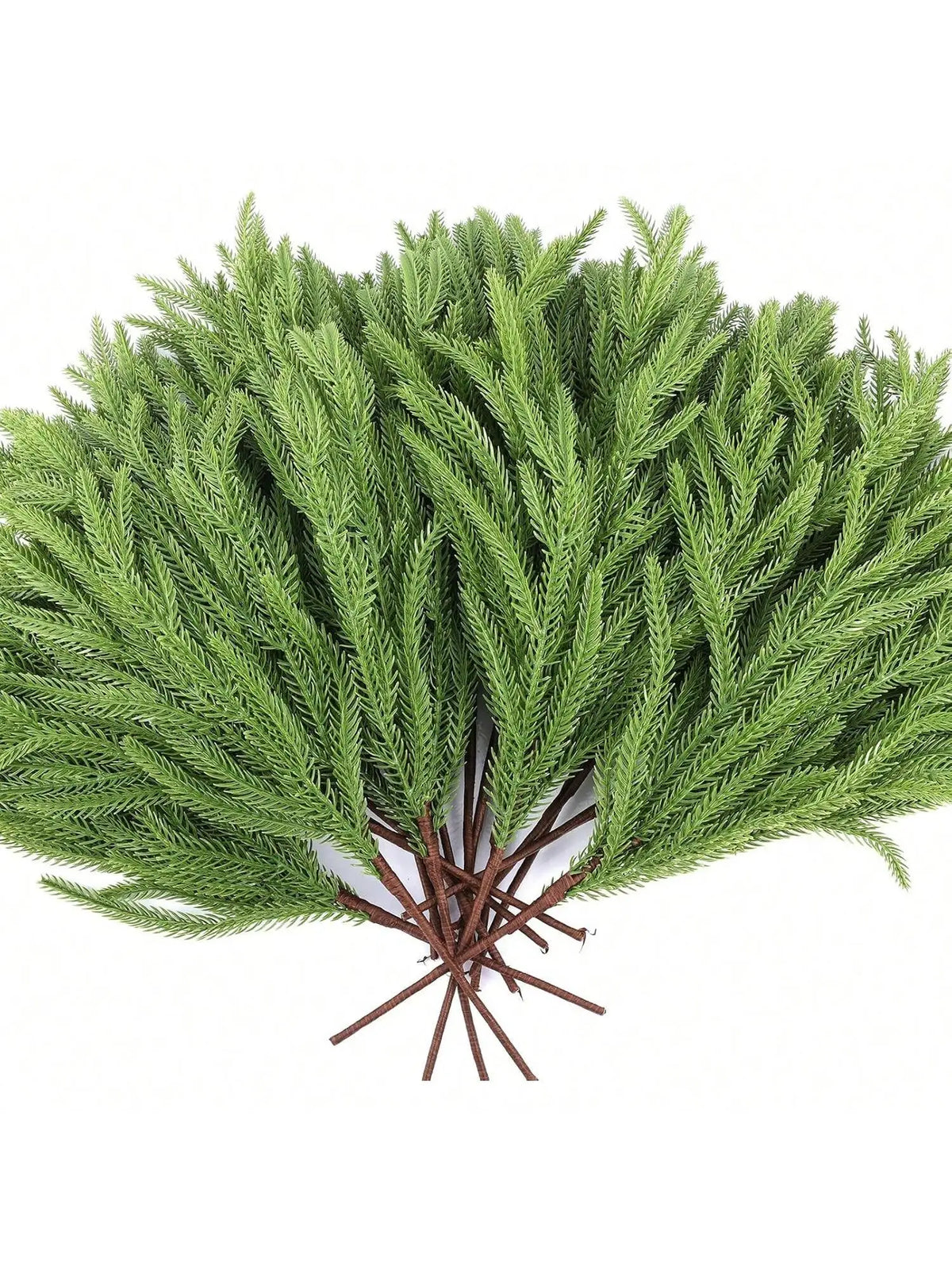 Norfolk-Style Pine Branches