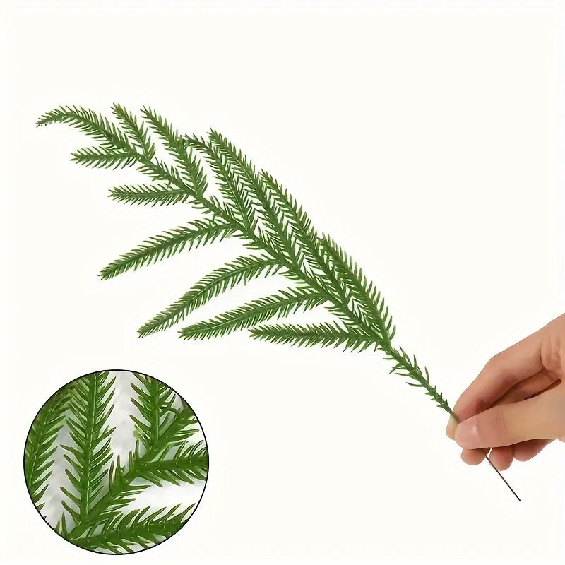 Norfolk Pine Craft Stems