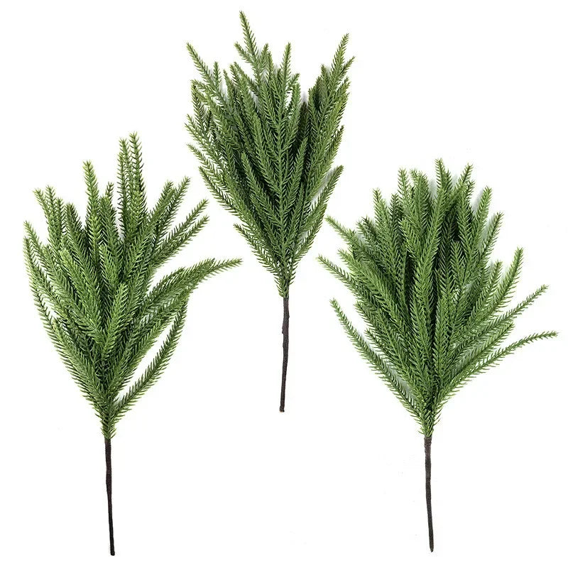 Norfolk-Style Pine Branches